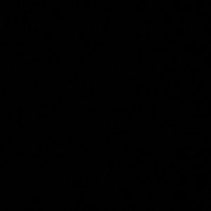 Meet your Posher, Anahi